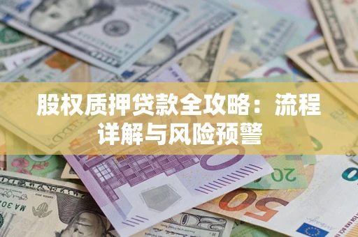 武汉股权质押贷款全攻略：流程详解与风险预警