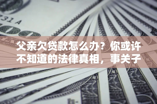 武汉父亲欠贷款怎么办？你或许不知道的法律真相，事关子女未来