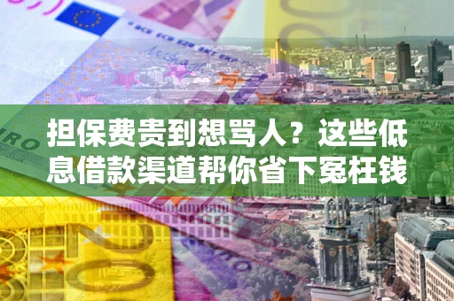 武汉担保费贵到想骂人？这些低息借款渠道帮你省下冤枉钱