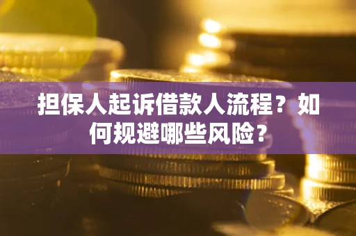 武汉担保人起诉借款人流程？如何规避哪些风险？