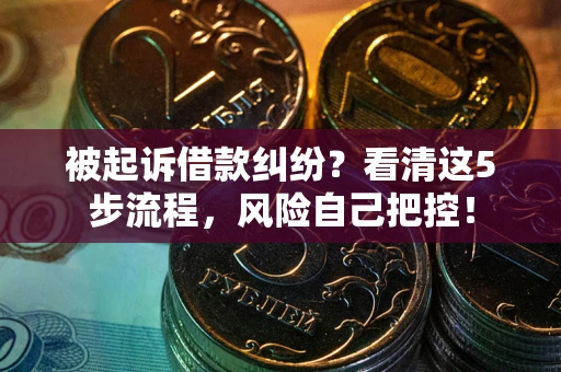 武汉被起诉借款纠纷？看清这5步流程，风险自己把控！