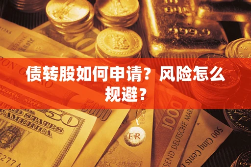 武汉债转股如何申请？风险怎么规避？