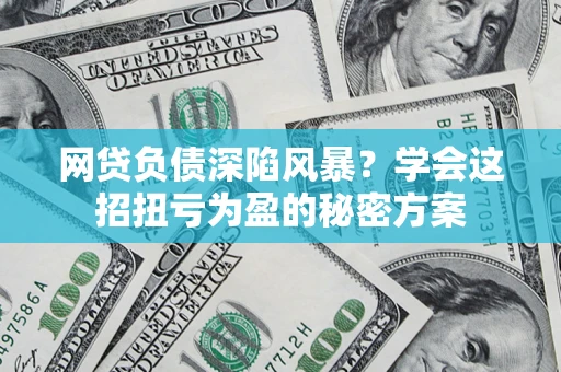 武汉网贷负债深陷风暴？学会这招扭亏为盈的秘密方案